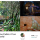 Image for article titled The most popular Airbnb in the world is a “mushroom dome” in California